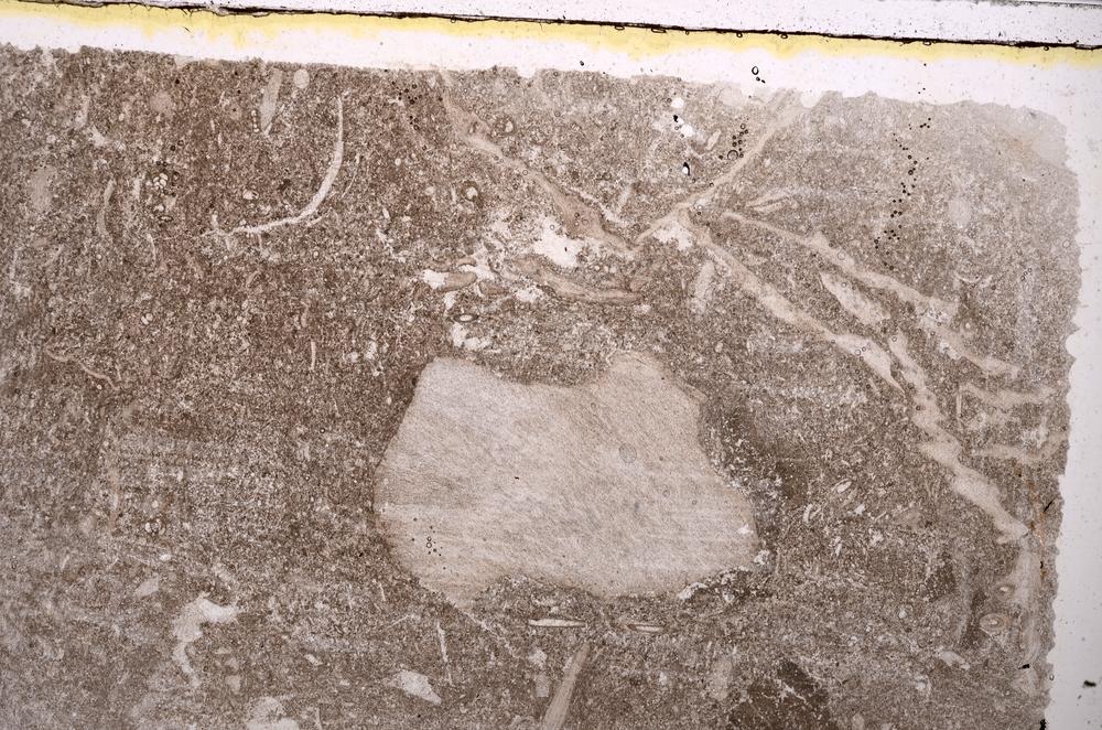 Plane Polarized, E41558