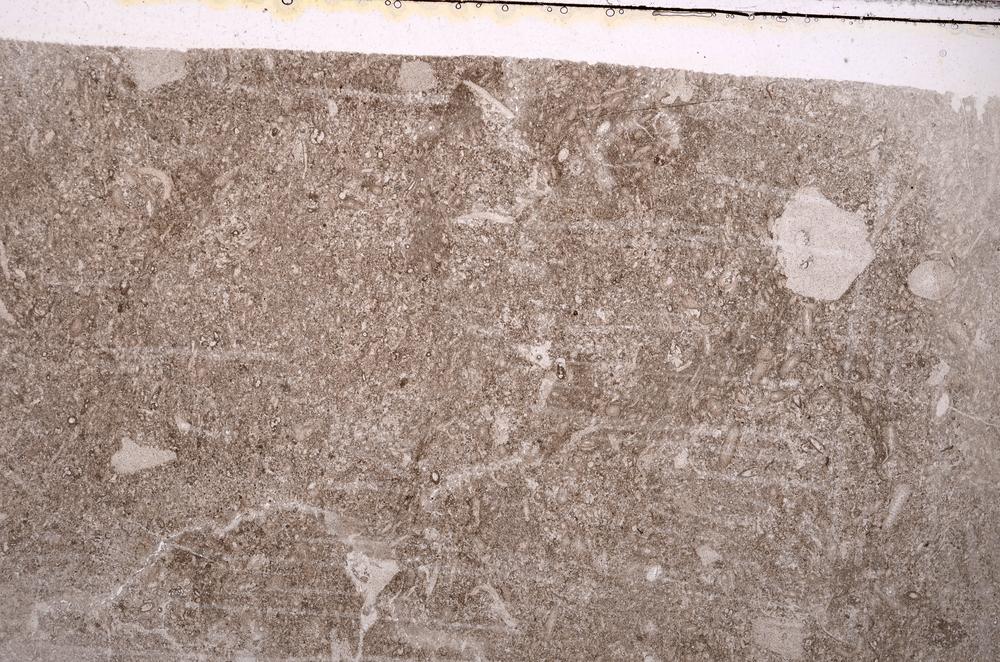 Plane Polarized, E41559