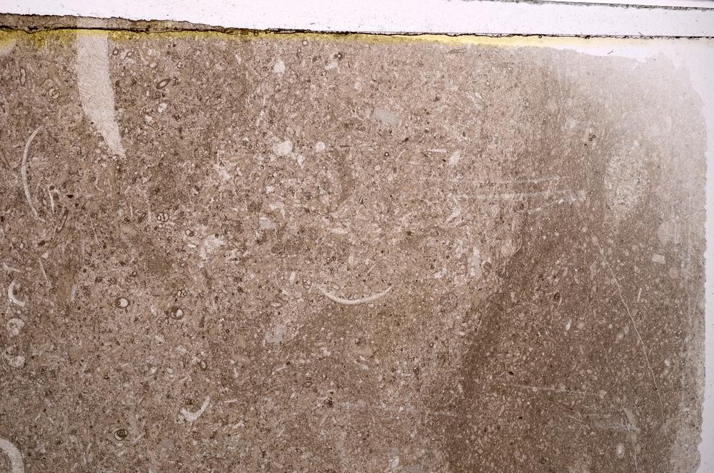 Plane Polarized, E41562