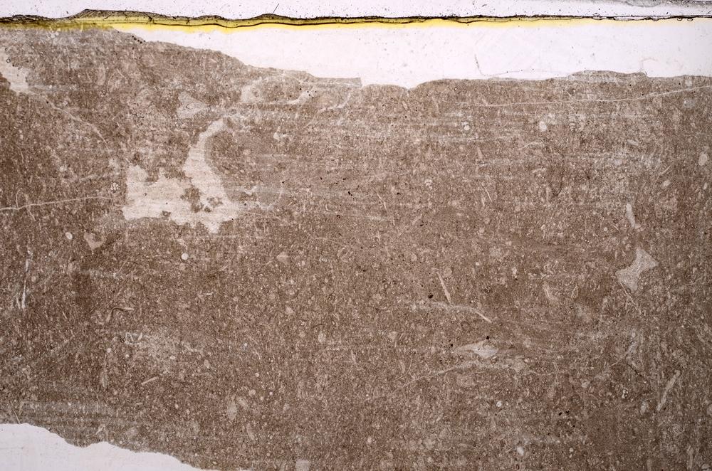 Plane Polarized, E41565