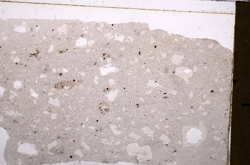 Plane Polarized, E41586
