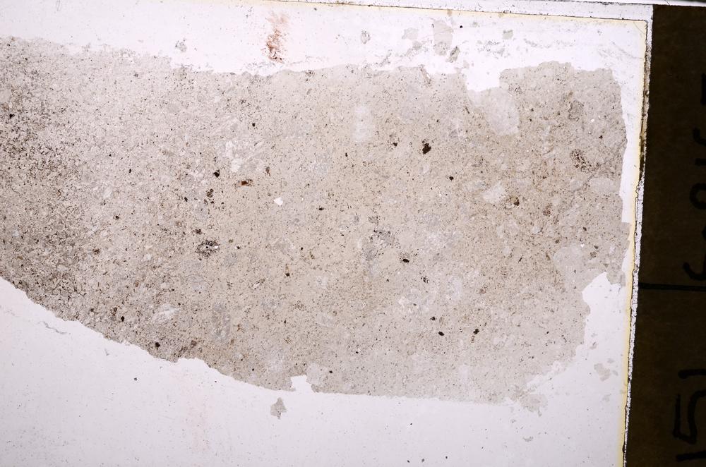 Plane Polarized, E41587