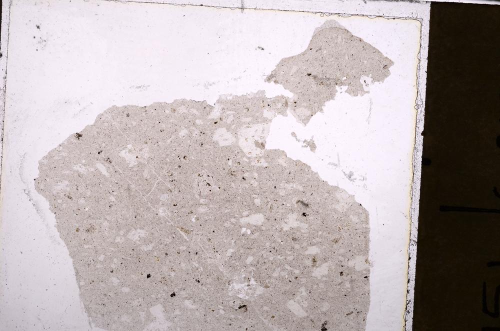 Plane Polarized, E41588