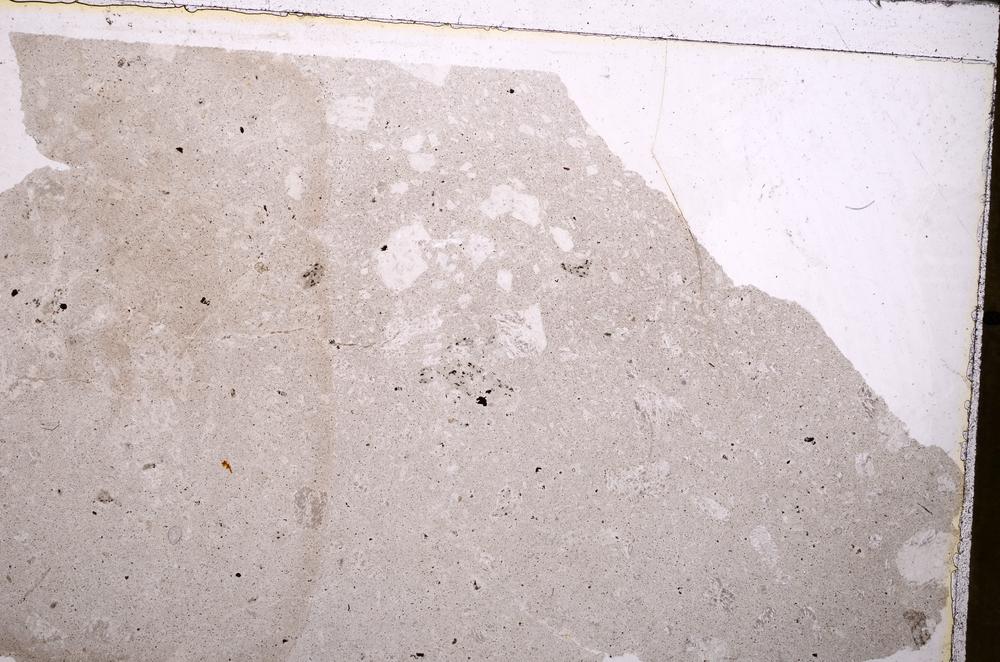 Plane Polarized, E41589