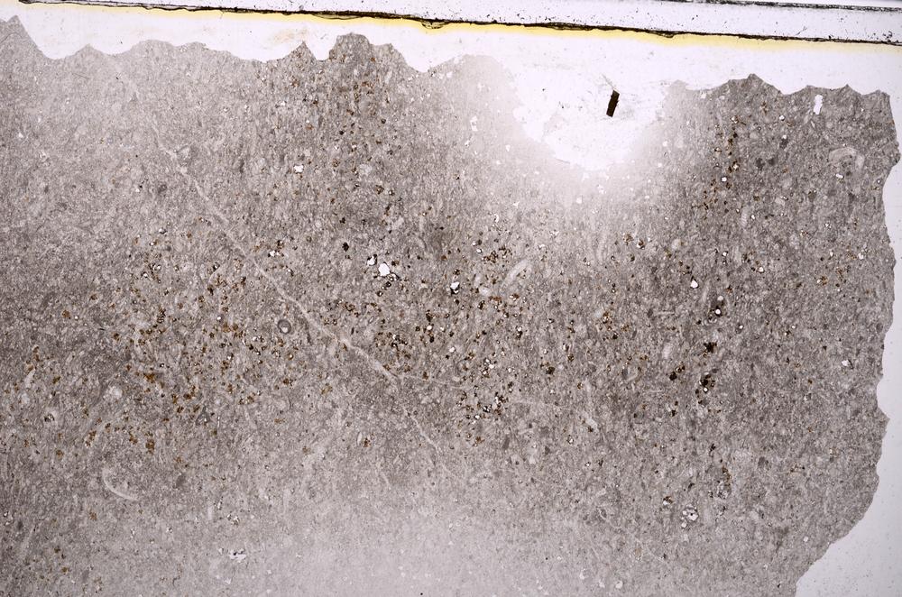 Plane Polarized, E41607