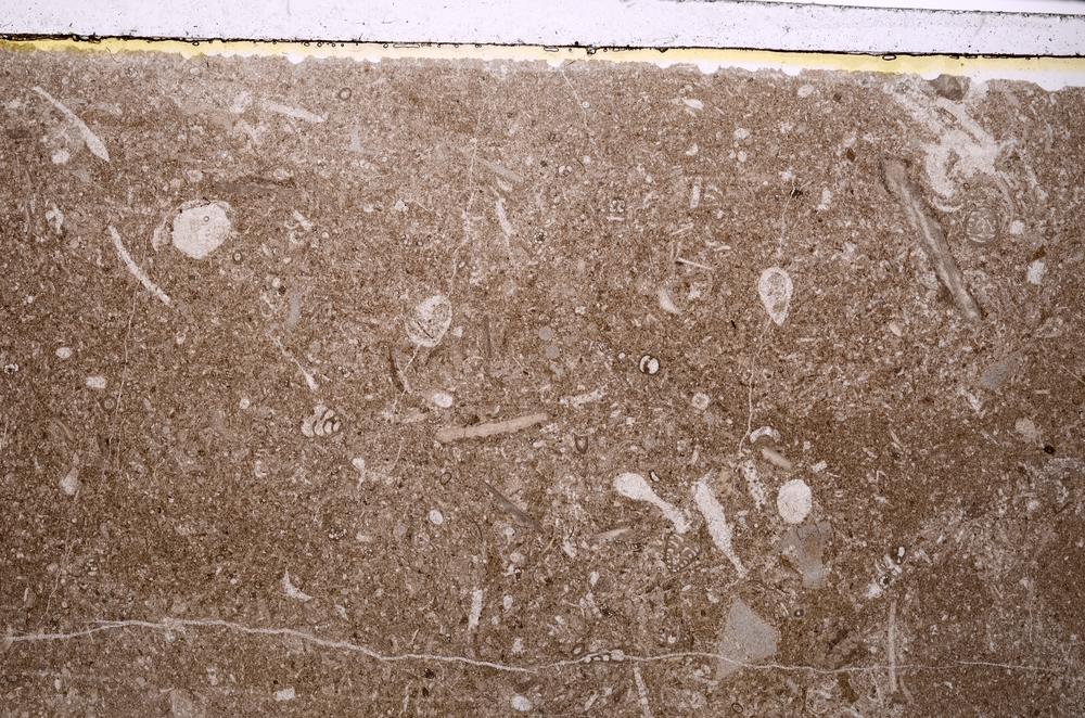 Plane Polarized, E41611