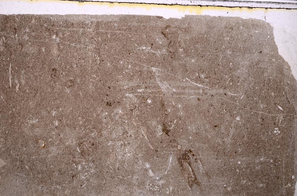 Plane Polarized, E41614