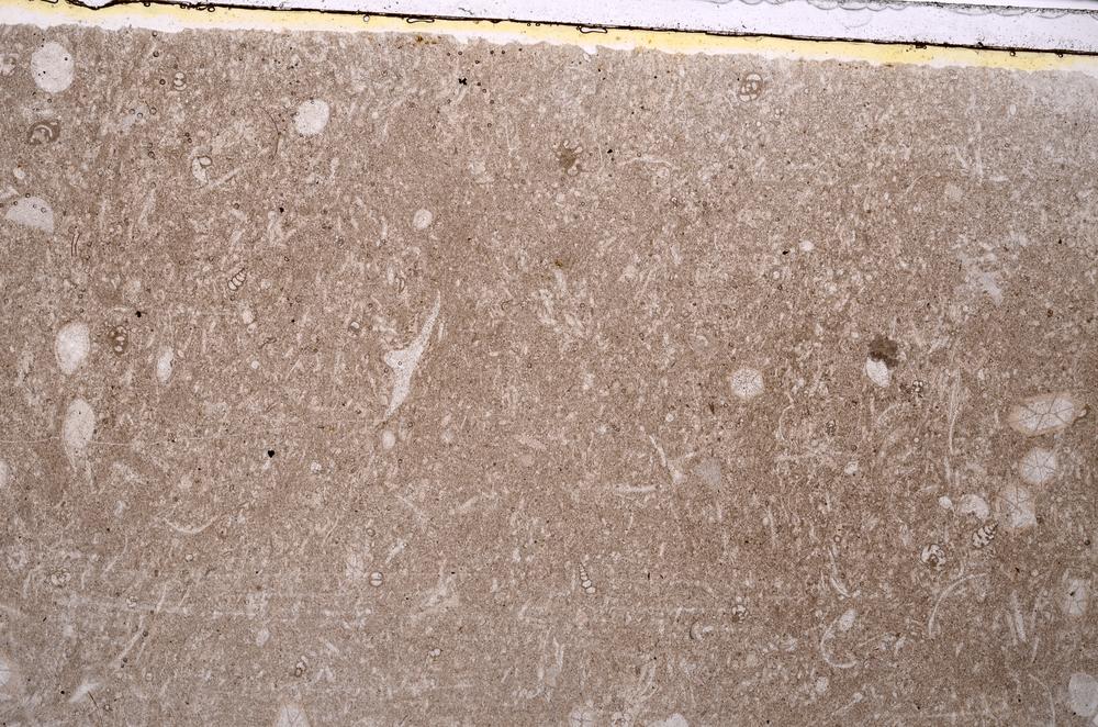 Plane Polarized, E41615