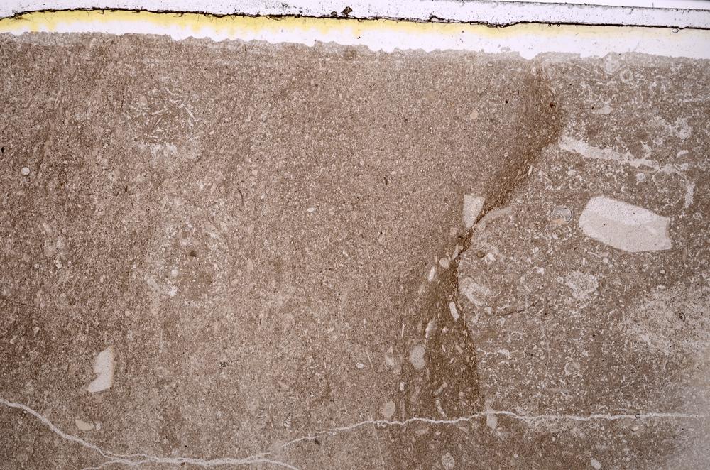 Plane Polarized, E41616