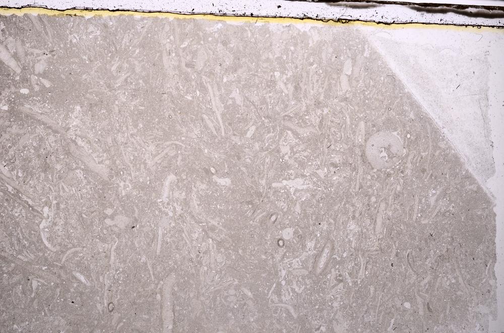 Plane Polarized, E41623