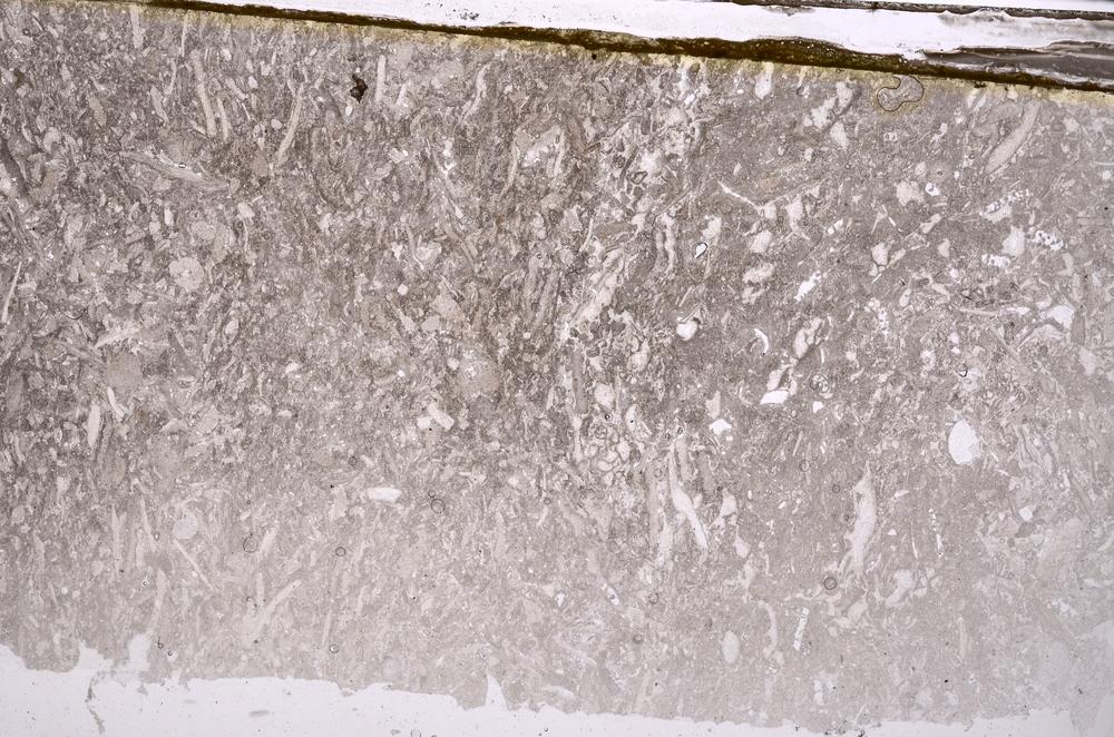 Plane Polarized, E41625