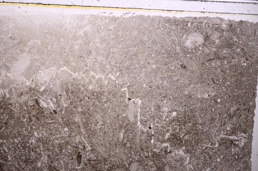 Plane Polarized, E41628