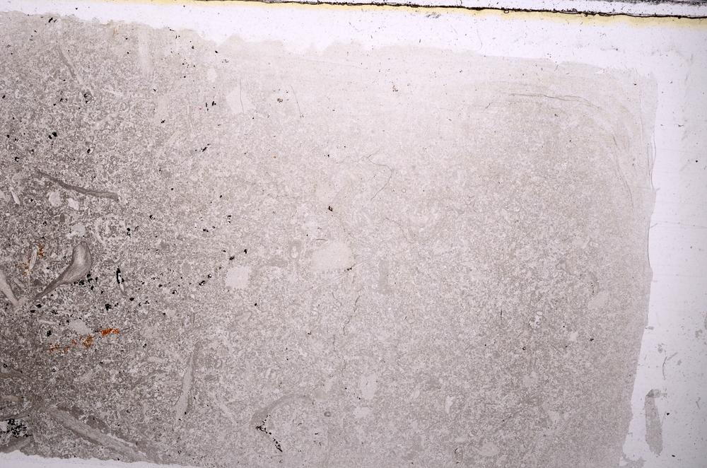 Plane Polarized, E41630