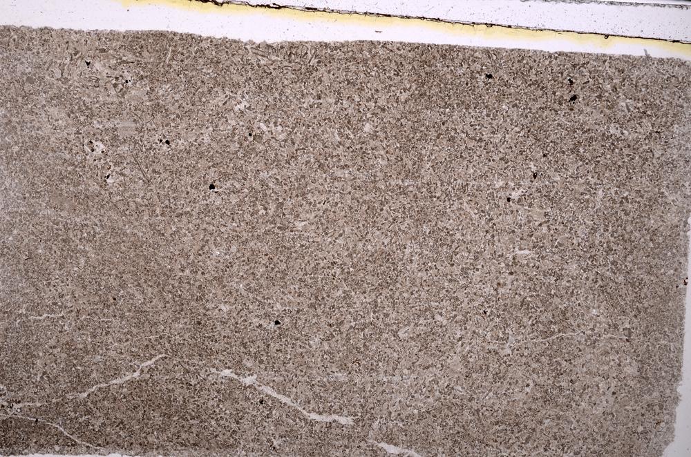 Plane Polarized, E41637