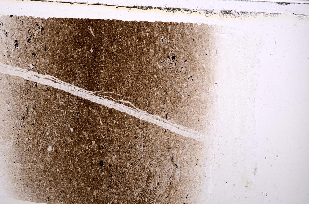 Plane Polarized, E41638