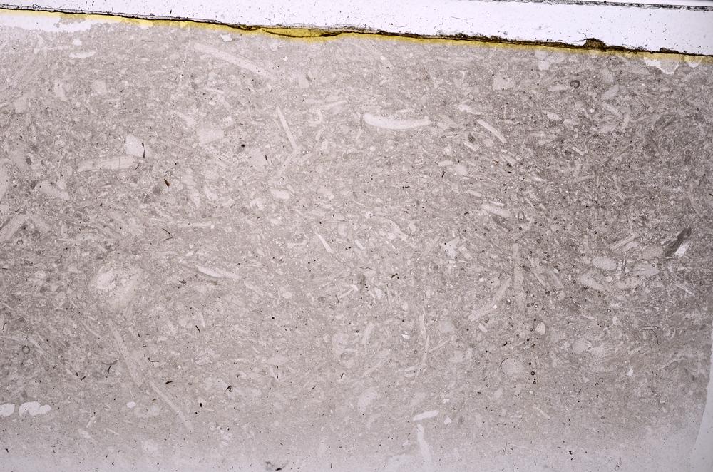 Plane Polarized, E41685