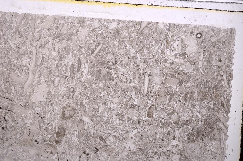 Plane Polarized, E41688