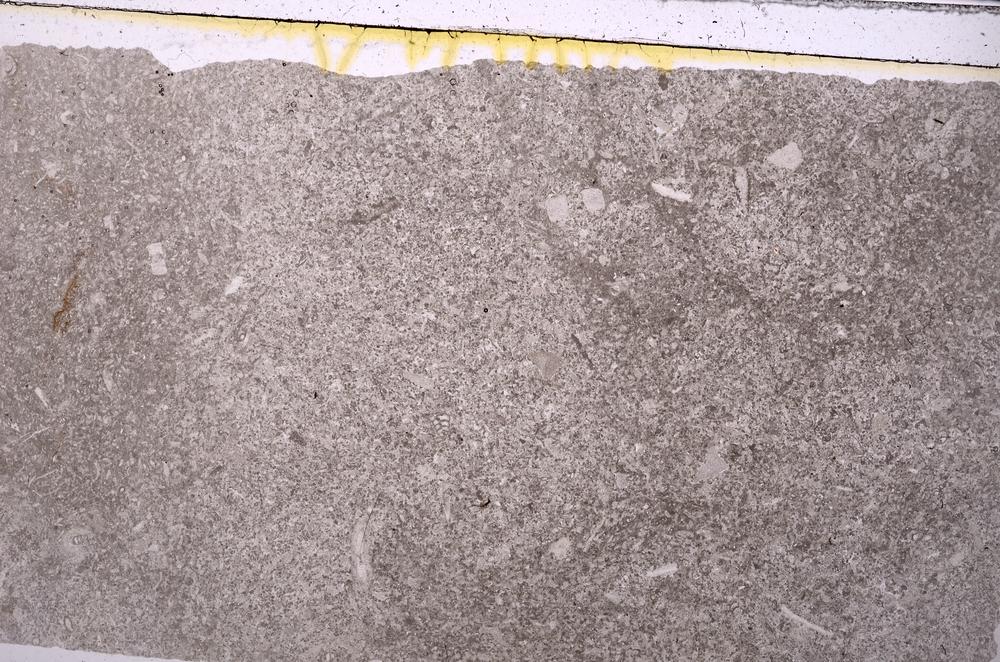 Plane Polarized, E41690