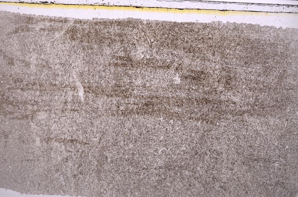 Plane Polarized, E41693