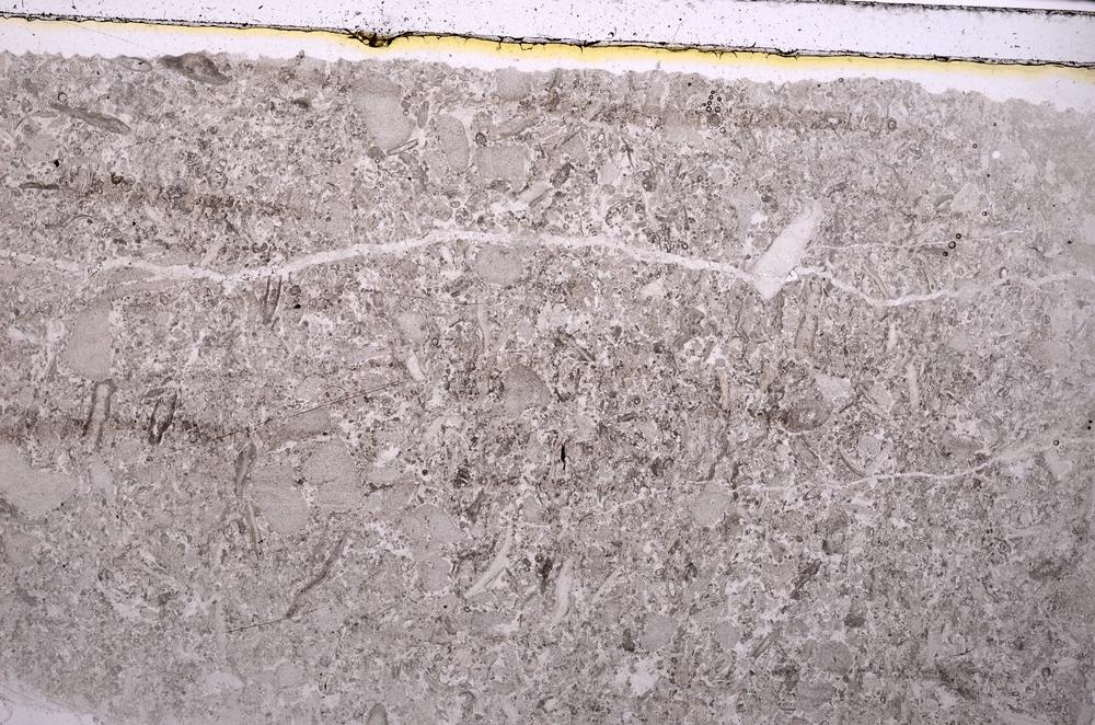 Plane Polarized, E41695