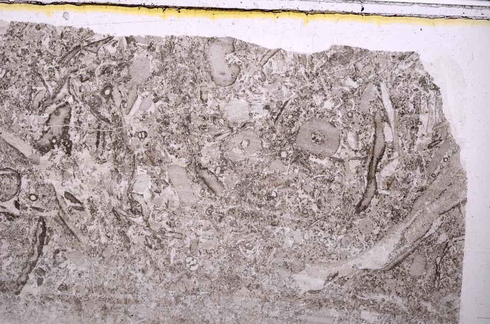 Plane Polarized, E41696