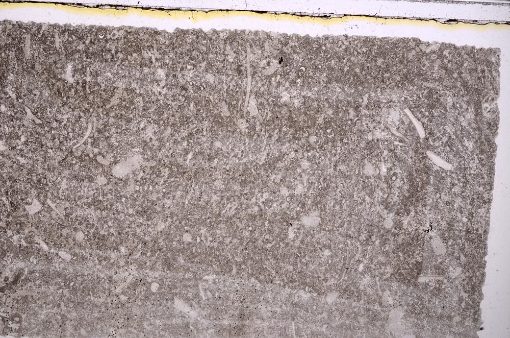 Plane Polarized, E41699