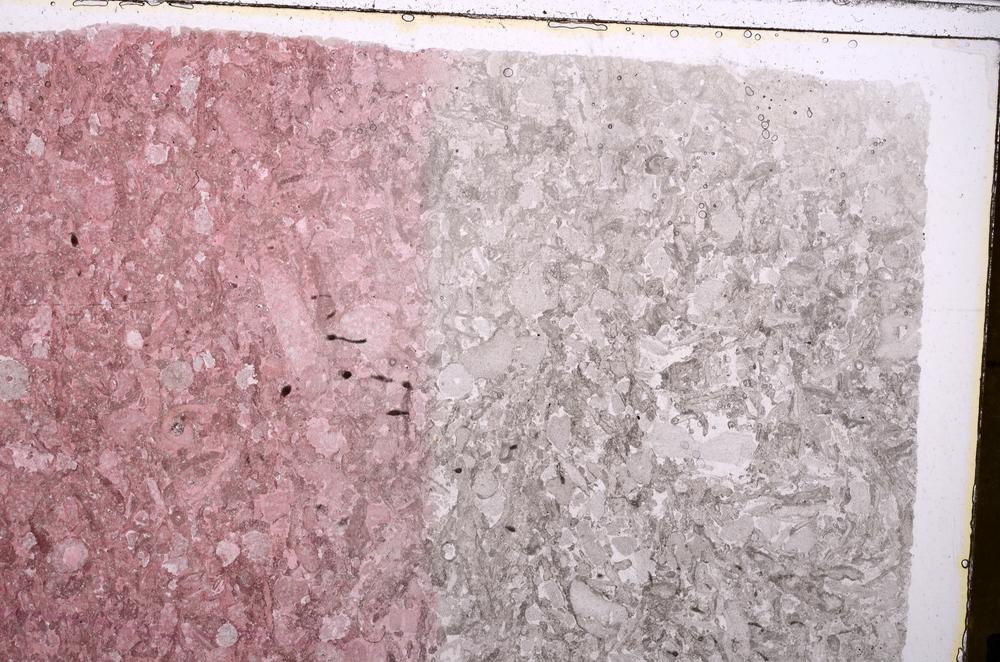 Plane Polarized, E41724