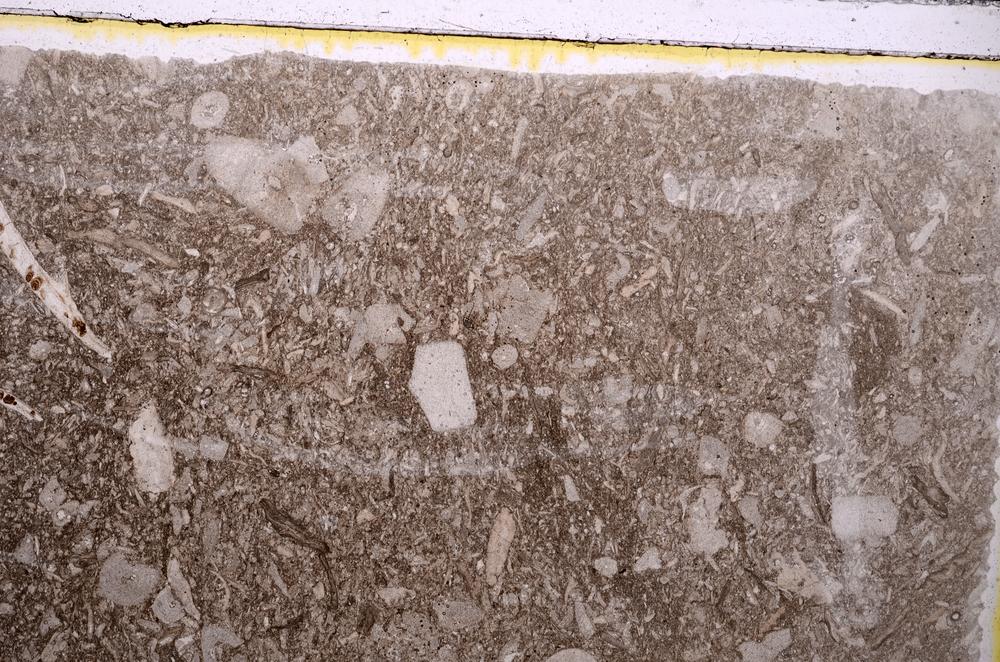 Plane Polarized, E41733