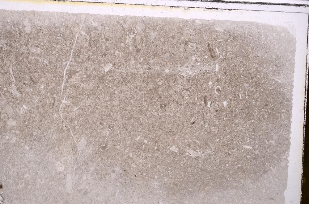 Plane Polarized, E41741