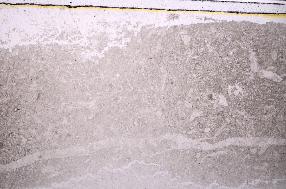 Plane Polarized, E41747