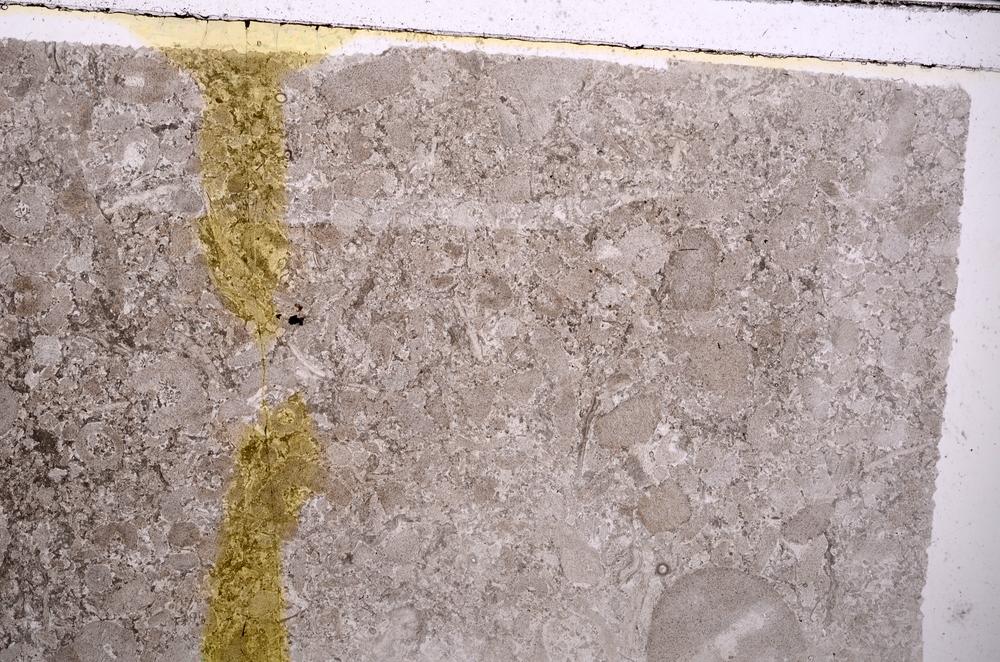 Plane Polarized, E41749