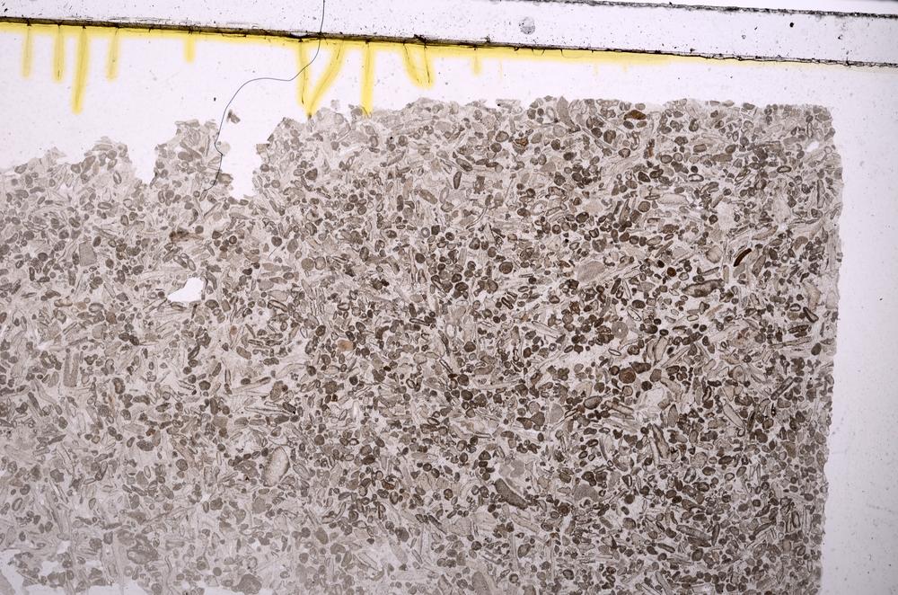 Plane Polarized, E41753