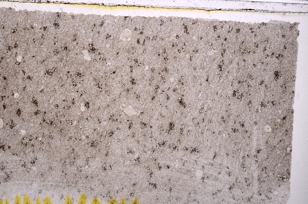 Plane Polarized, E41755