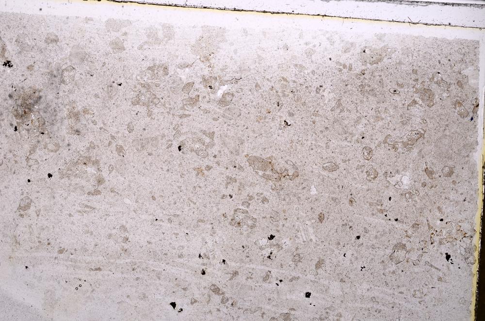 Plane Polarized, E41757
