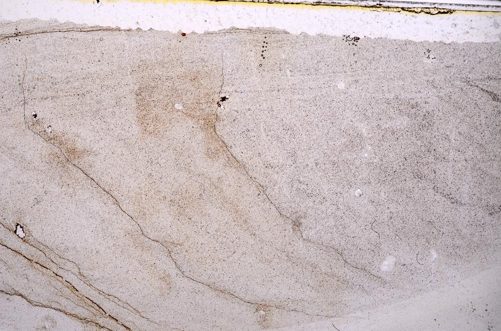Plane Polarized, E41759