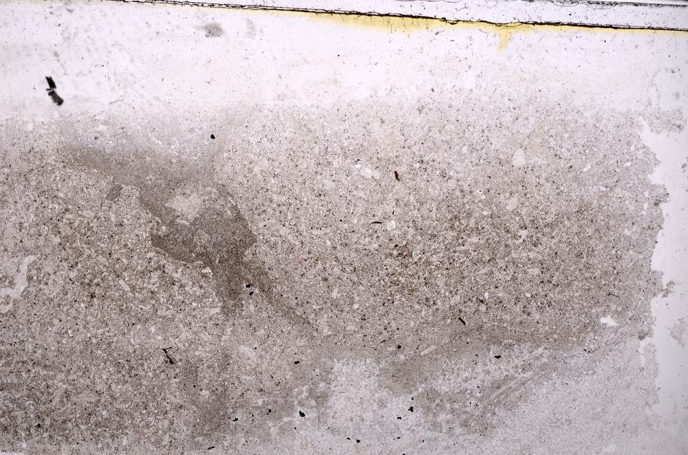 Plane Polarized, E41765