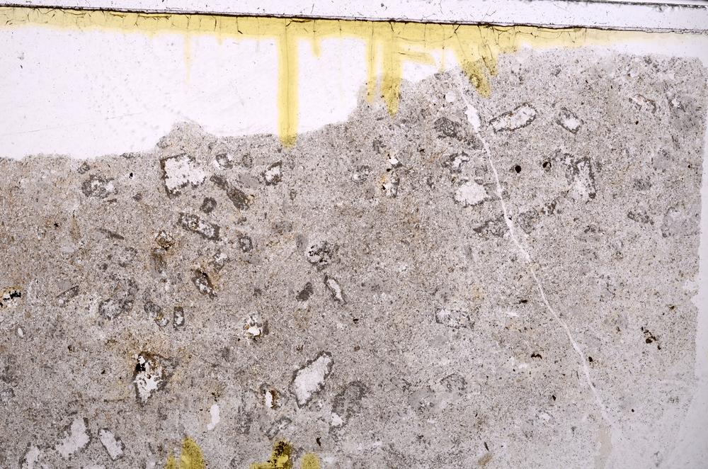 Plane Polarized, E41770