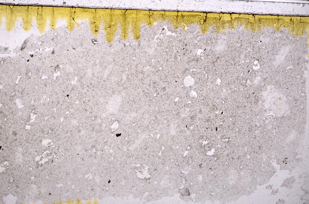 Plane Polarized, E41771