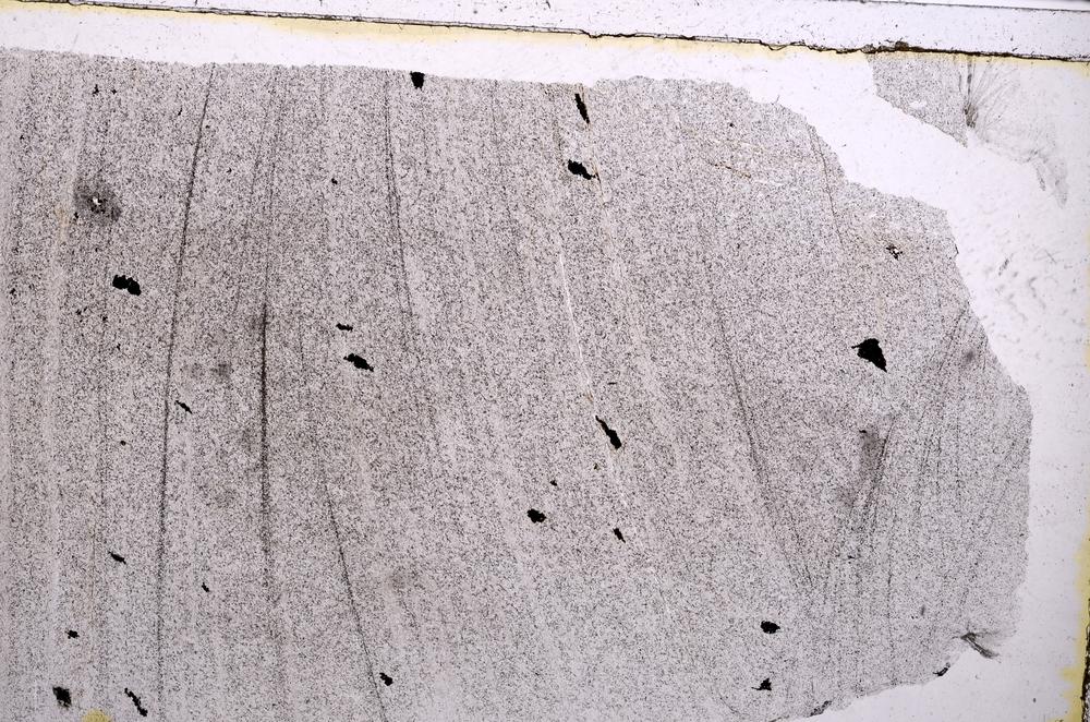 Plane Polarized, E41772