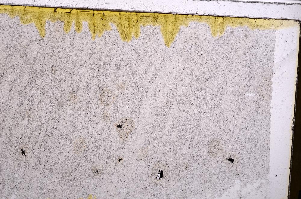 Plane Polarized, E41773