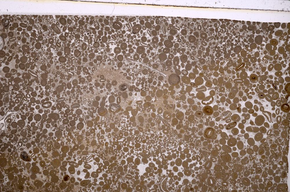 Plane Polarized, E41785