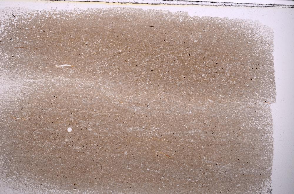 Plane Polarized, E41817