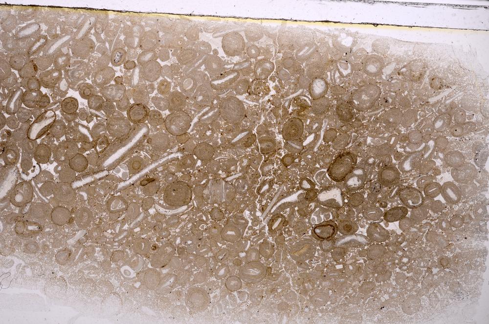 Plane Polarized, E41822