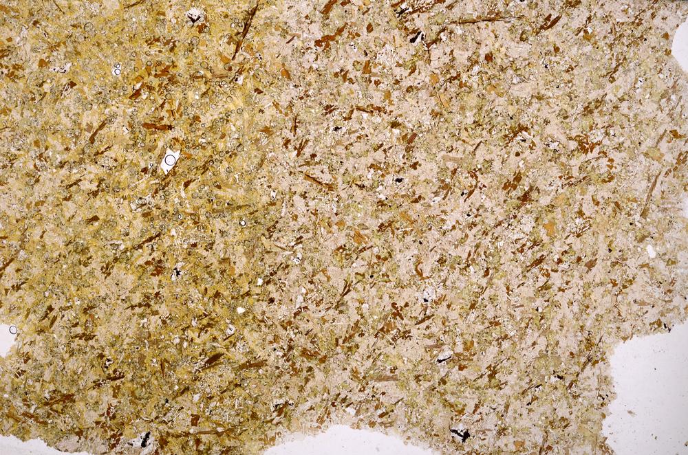 Plane Polarized, E41841