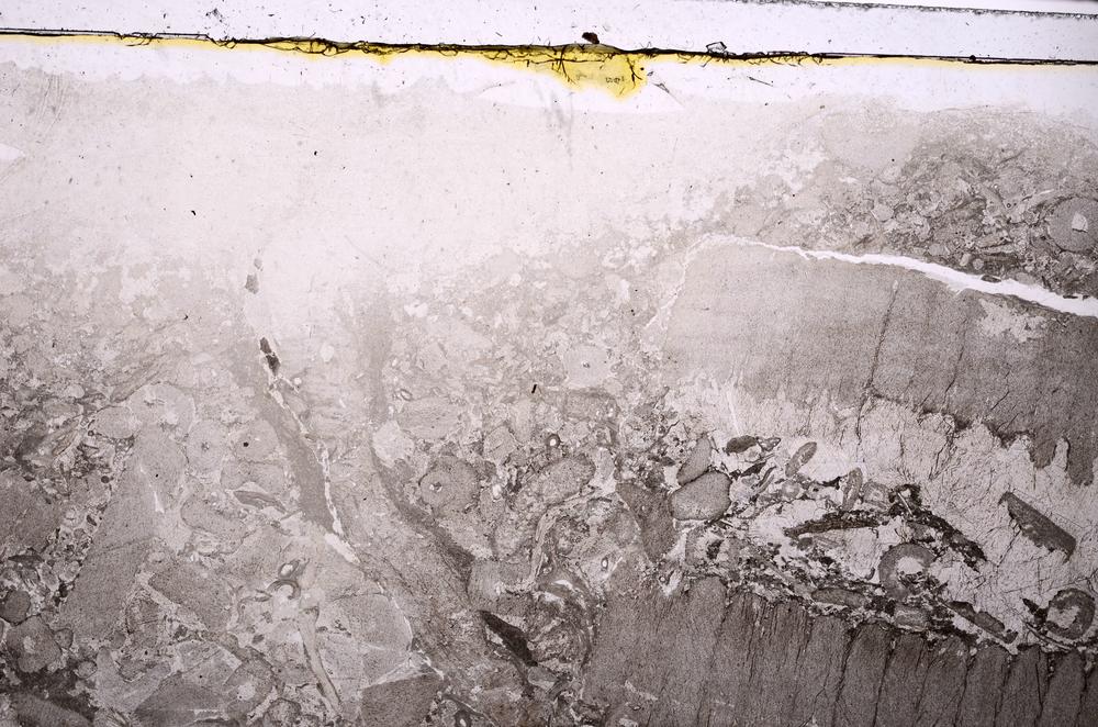 Plane Polarized, E41843