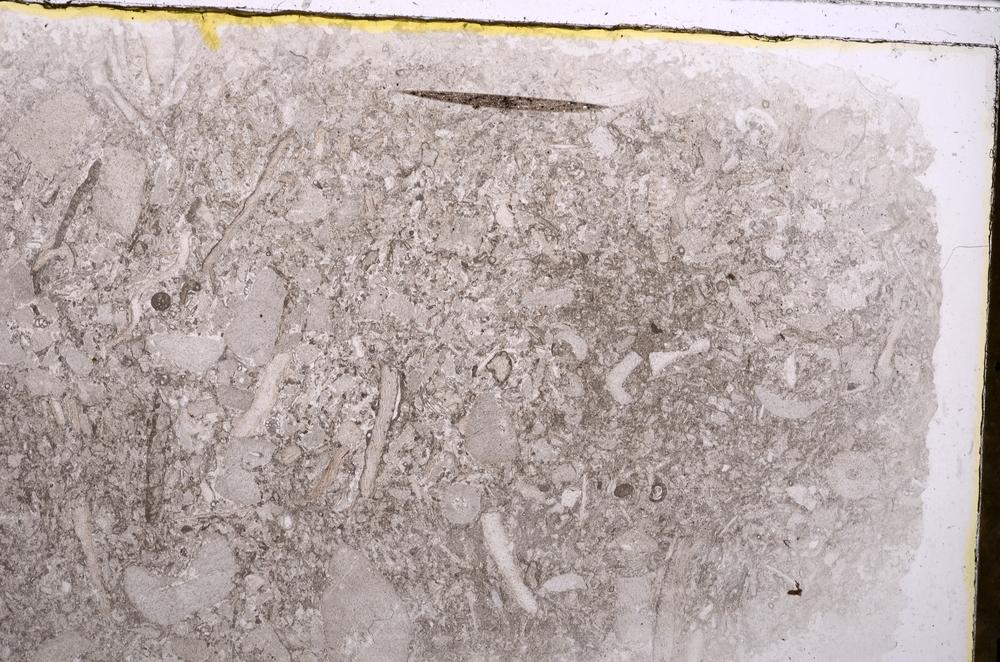 Plane Polarized, E41844