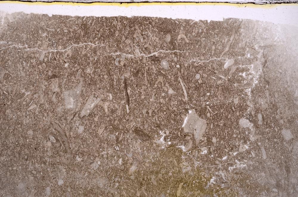 Plane Polarized, E41853