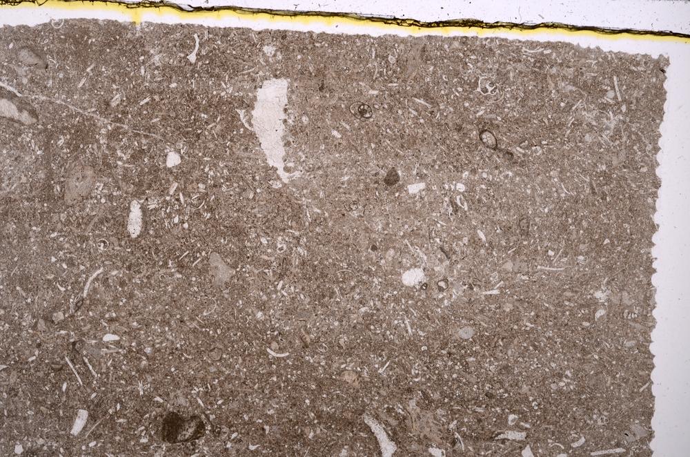 Plane Polarized, E41854