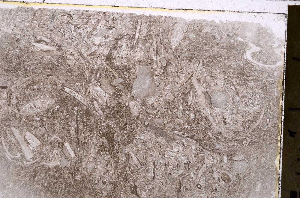 Plane Polarized, E41855