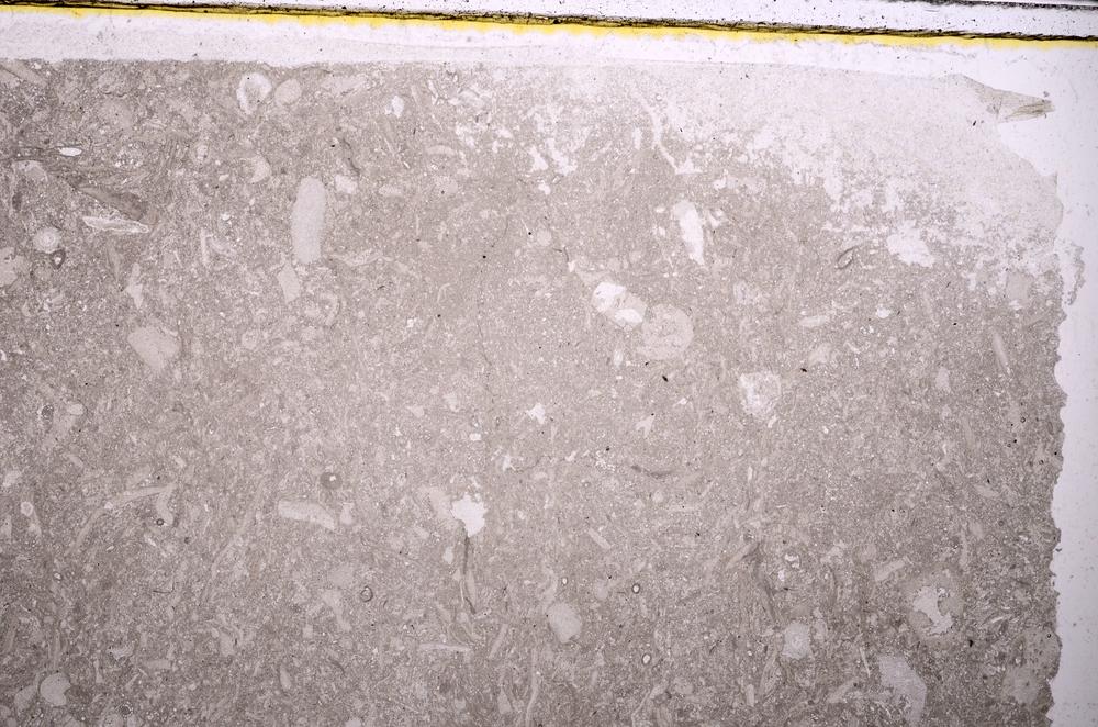 Plane Polarized, E41860